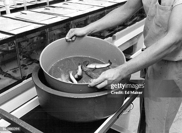 Roger Rouch Wildlife Vaccines Photos and Premium High Res Pictures - Getty Images