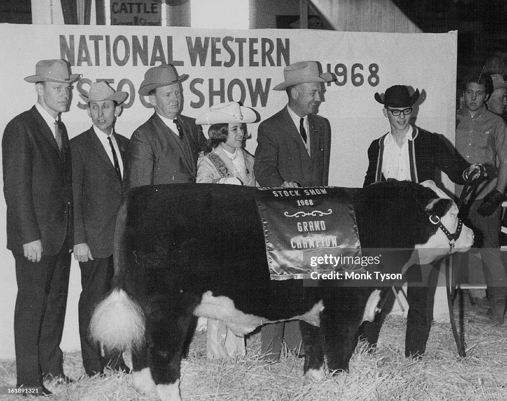 JAN 1968, JAN 16 1968; Grand Champion Steer, Big Red, Receives Banner At The End of Judging Monday;