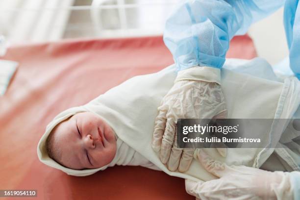 skilled obstetric nurse in surgical gloves carefully wraps newborn baby boy in soft white cloth - textile for delivery stock pictures, royalty-free photos & images