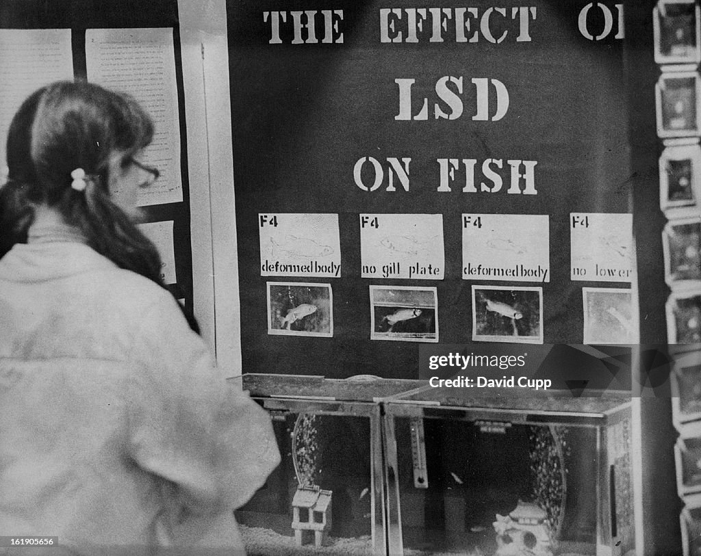 APR 12 1972, APR 16 1972; An exhibit on the effect of LSD on fish, submitted by Randy S. McMullen, 1