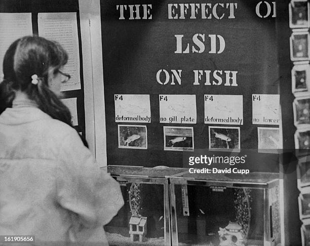 An exhibit on the effect of LSD on fish, submitted by Randy S. McMullen, 10th grader at Monte Vista High School, Monte Vista, Colo., draws attention...