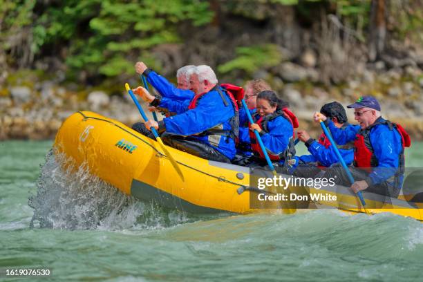 jasper national park in alberta canada - athabasca river stock pictures, royalty-free photos & images