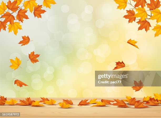 bildbanksillustrationer, clip art samt tecknat material och ikoner med autumn background with leaves falling from trees - höstlövverk