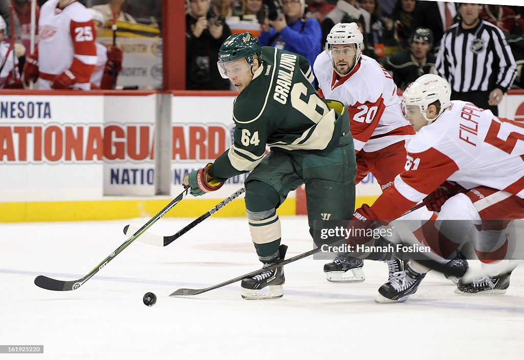 Detroit Red Wings v Minnesota Wild