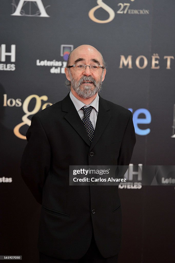 Goya Cinema Awards 2013 - Red Carpet