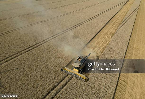 An aerial view of farmers harvesting a crop in fields on August 16, 2023 in New Romney, England. After recent wet weather the annual harvest had made...