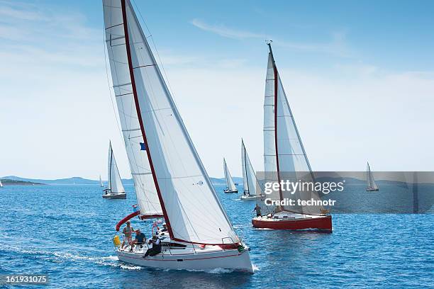 große anzahl von segelbooten racing auf der regatta - regatta stock-fotos und bilder