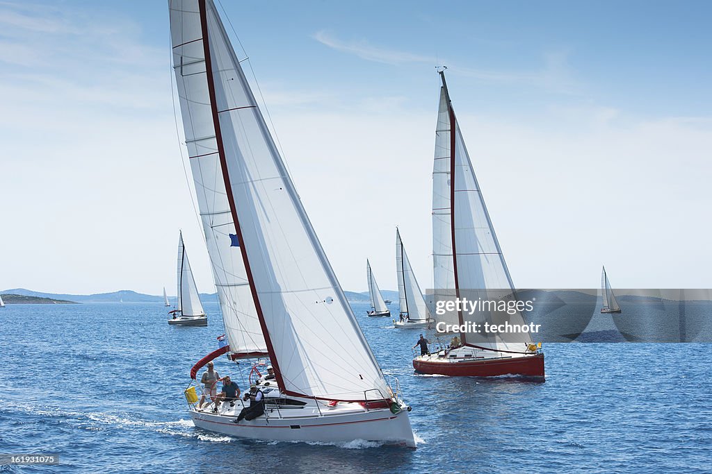 Large number of sailboats racing at regatta
