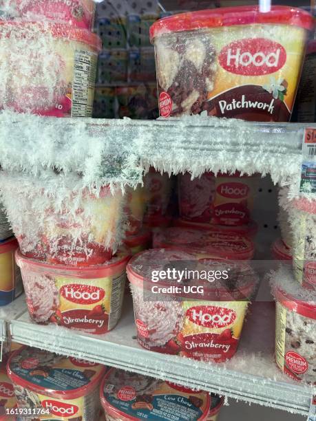 Frosty Ice on Hood Ice cream in freezer aisle of grocery store, Boston, Massachusetts.