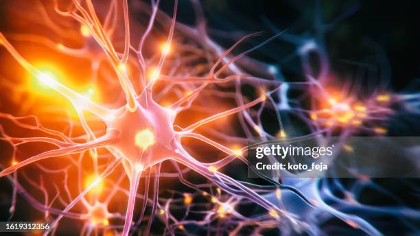 neuronensystemkrankheit - menschliche zelle stock-fotos und bilder