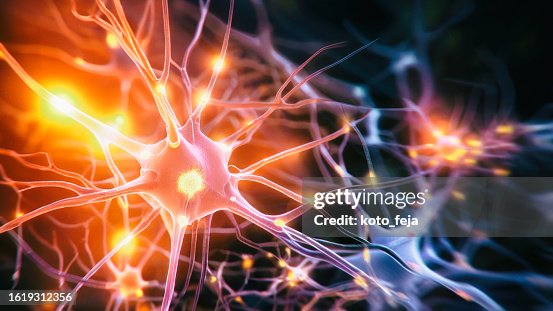 Neuron system disease Neuron system disease