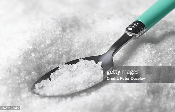 teaspoon of rock salt - salado fotografías e imágenes de stock