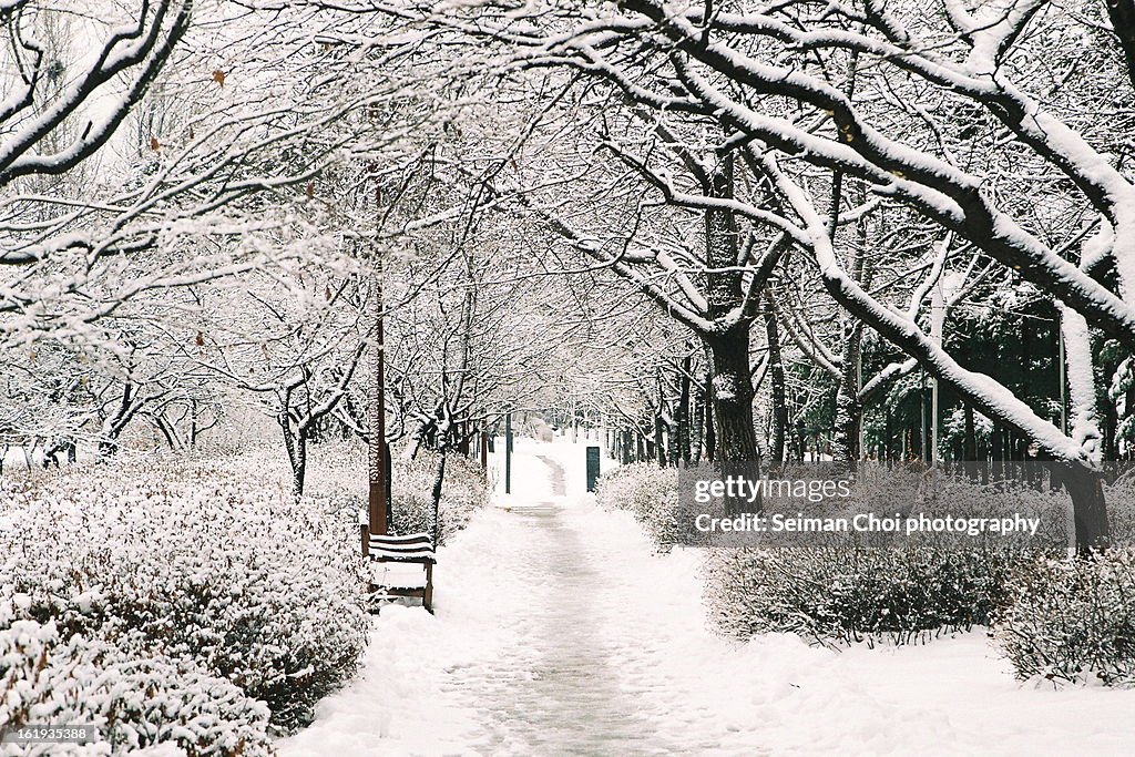 Seonyudo Park