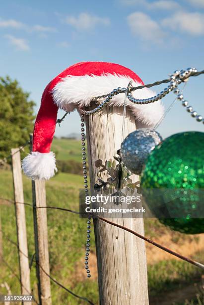 südhalbkugel weihnachten - kiwi summer stock-fotos und bilder