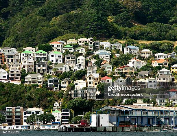 waterside real estate - housing new zealand stock pictures, royalty-free photos & images