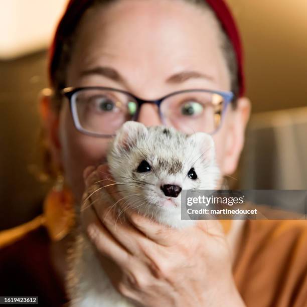 woman living with a visual disability with ferret as support animal. - mustela putorius furo stock pictures, royalty-free photos & images