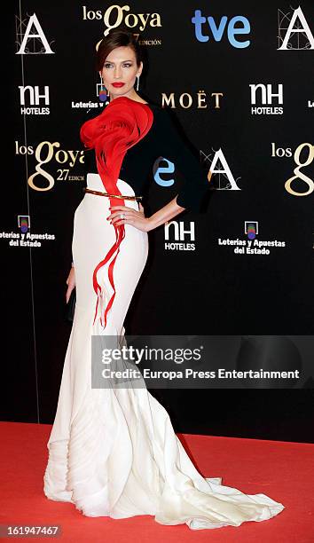 Nieves Alvarez attends Goya Cinema Awards 2013 at Centro de Congresos Principe Felipe on February 17, 2013 in Madrid, Spain.