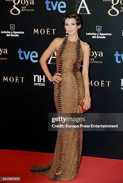 Natasha Yarovenko attends Goya Cinema Awards 2013 at Centro de Congresos Principe Felipe on February 17, 2013 in Madrid, Spain.