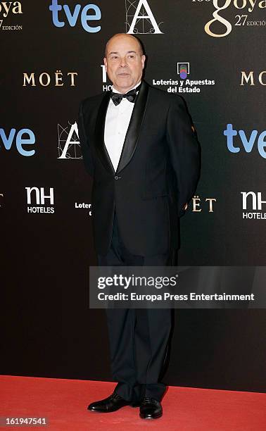 Antonio Resines attends Goya Cinema Awards 2013 at Centro de Congresos Principe Felipe on February 17, 2013 in Madrid, Spain.