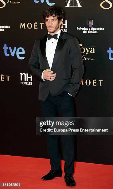 Quim Gutierrez attends Goya Cinema Awards 2013 at Centro de Congresos Principe Felipe on February 17, 2013 in Madrid, Spain.