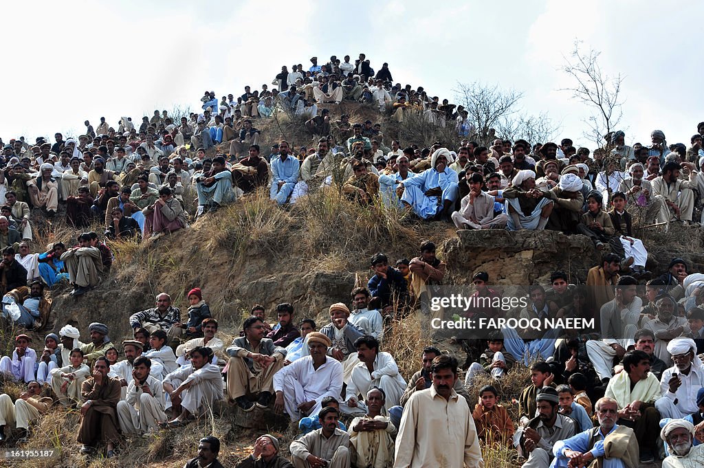 PAKISTAN-DOG-FIGHT