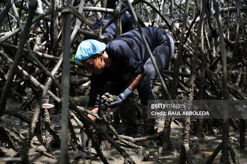 COLOMBIA-NUQUI-ENVIRONMENT-CONSERVATION