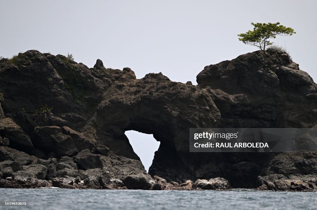 COLOMBIA-NUQUI-ENVIRONMENT-CONSERVATION