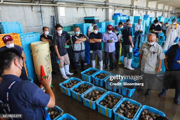 Buyers gather during an auction at Numanouchi fish port in Iwaki, Fukushima Prefecture, Japan, on Thursday, Aug. 24, 2023. Tokyo Electric Power Co....