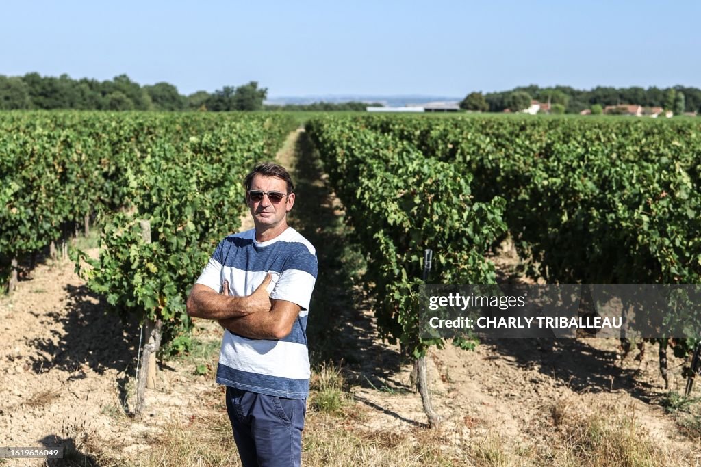 FRANCE-AGRICULTURE-ENVIRONMENT-WINE-MILDEW