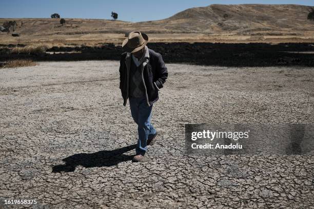 Person walking on dry ground after the reduction of water of Lake Titicaca, in Huarina, La Paz, Bolivia on August 17, 2023. Lake Titicaca drops its...