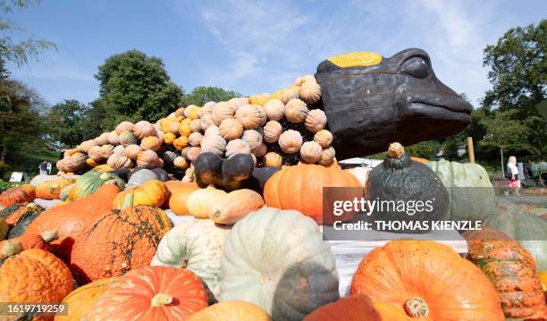 Woman walks past a sculpture of a fire salamander made of pumpkins at a pumpkin exhibition in the garden of Ludwigsburg Castle in Ludwigsburg,...