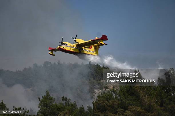Canadair amphibious aircraft, drops water over wildfires spreading in Dadia forest, one of the most important areas in Europe for birds of prey, as...