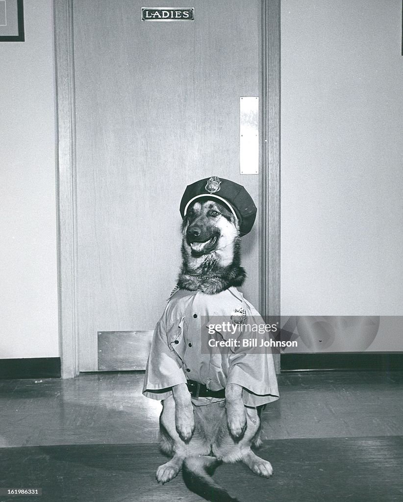 MAR 4 1960, 5-6-1960; Denver, Colorado - Police Department Canine Corps. (1960-1969);