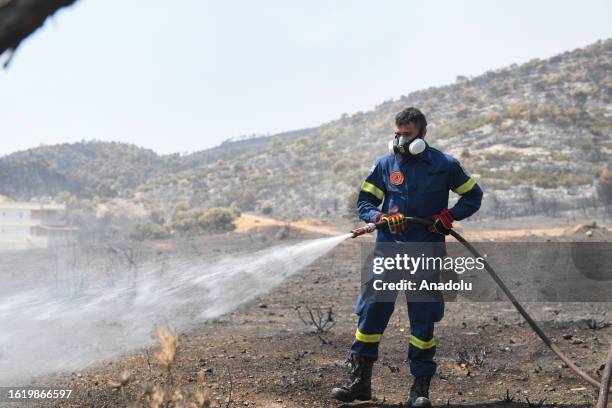 Firefighter operates during a wildfire that continues at the village of Agia Paraskevi near Athens, Greece on August 24, 2023.