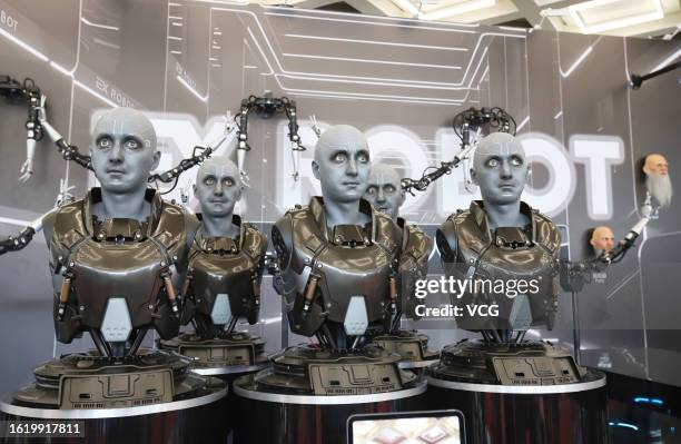 Humanoid robots are on display during 2023 World Robot Conference at Beijing Etrong International Exhibition & Convention Center on August 16, 2023...