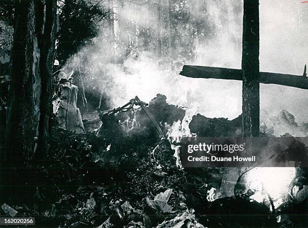 Fallen Tree And The Trunk Of One Still Standing Form A Charred Cross Near Smoldering Wreckage Of Fatal Plane Crash; The chartered Martin 404 was...