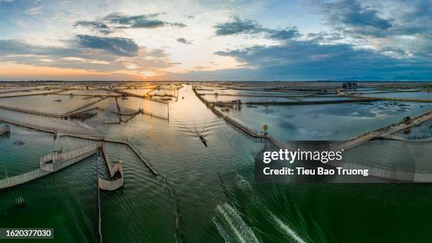 tam giang lagoon - beach stock illustrations stock pictures, royalty-free photos & images