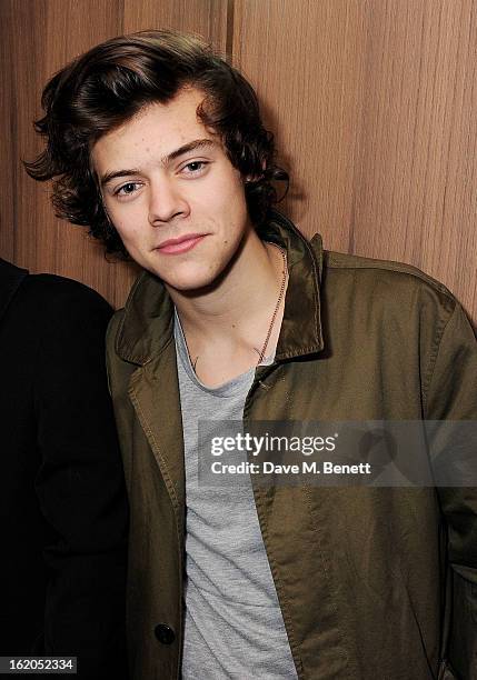 Harry Styles attends the AnOther Magazine and Dazed & Confused party with Belvedere Vodka at the Cafe Royal hotel on February 18, 2013 in London,...