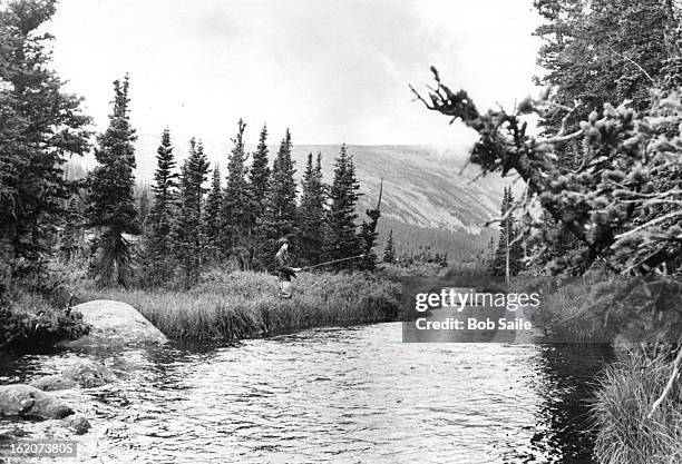 Brook-trout stream high in Colorado's Roosevelt National Forest.;