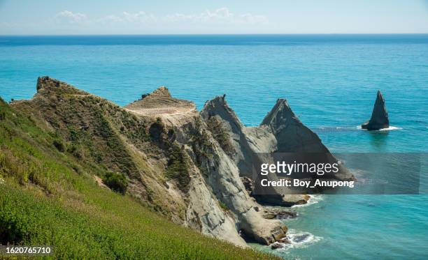 an iconic landscape of cape kidnappers in hawke's bay region of new zealand. - australasian gannet stock pictures, royalty-free photos & images