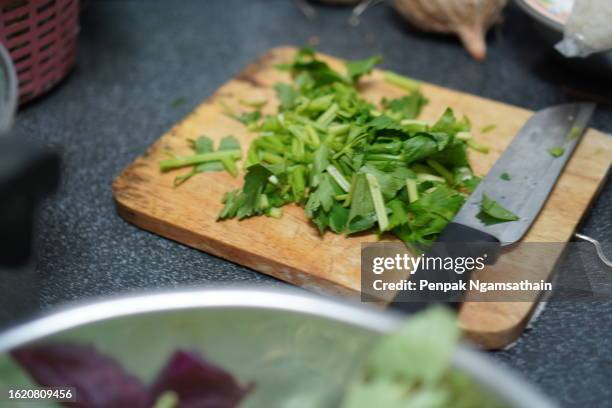 cut celery on a wooden cutting board - koriander stockfoto's en -beelden