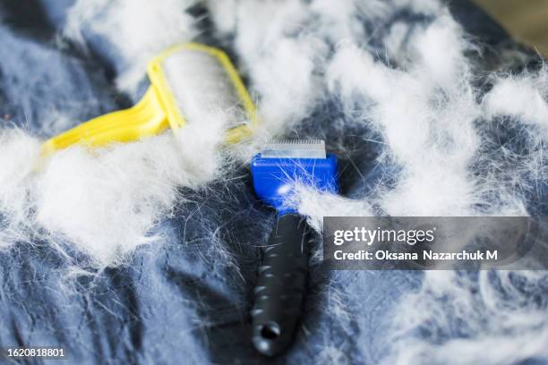 pet brushes with fur of cat - mue photos et images de collection