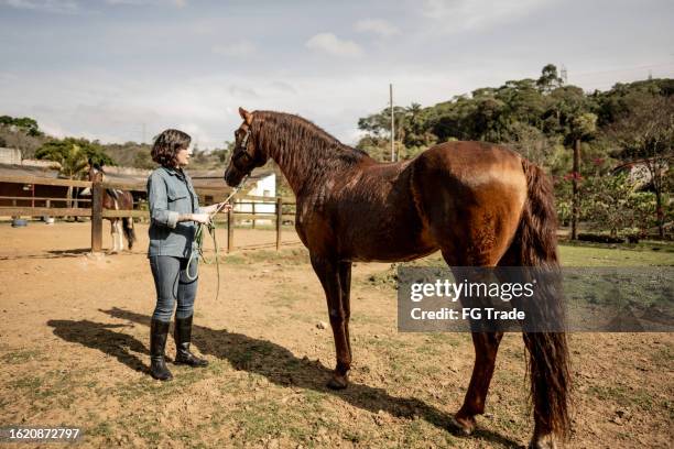 young woman with her horse on a ranch - thoroughbred horse stock pictures, royalty-free photos & images