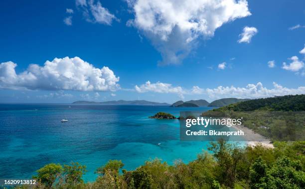 trunk bay on the tropical caribbean island of st. john in the us virgin islands - virgin islands stock pictures, royalty-free photos & images