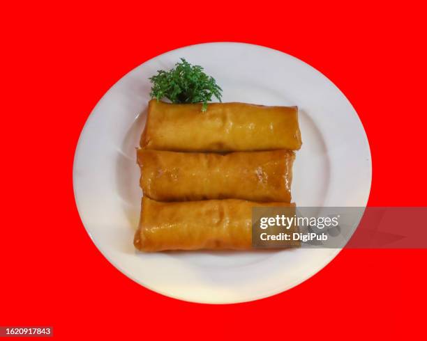 spring rolls, food model - chuka stock pictures, royalty-free photos & images