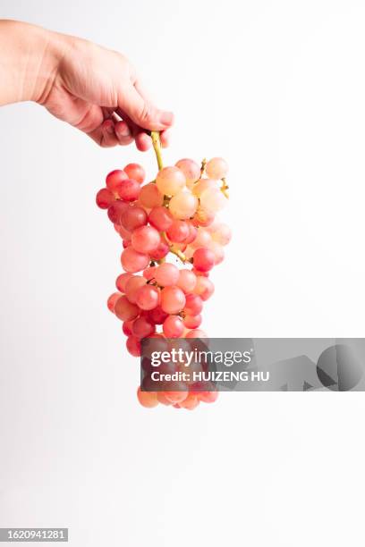 holding bunch of pink grapes - grape seed stock pictures, royalty-free photos & images