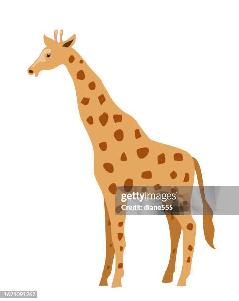 illustrations, cliparts, dessins animés et icônes de girafe dessin animé mignon - girafe