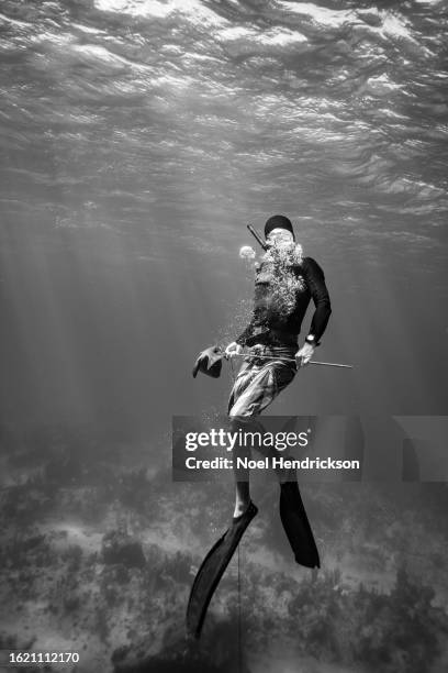 spear-fishing diver holds trigger fish on end of spear as he emerges from the water - flipper stock pictures, royalty-free photos & images