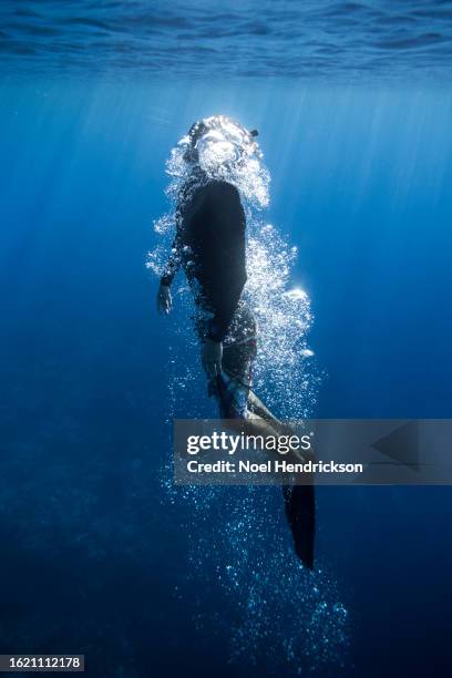 male diver exhales a cloud of air bubbles as he ascends to the surface - free diving stock pictures, royalty-free photos & images