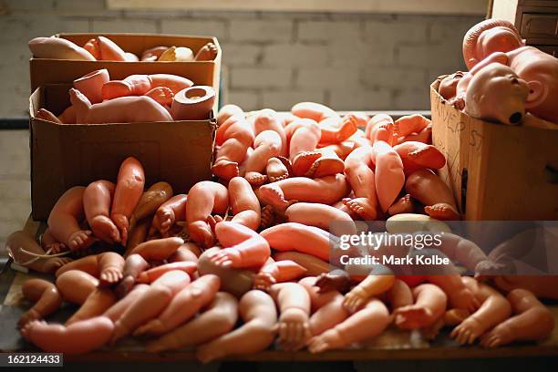 Spare body parts for dolls cover a work bench at Sydney's Original Doll Hospital in Bexley on February 19, 2013 in Sydney, Australia. Established in...